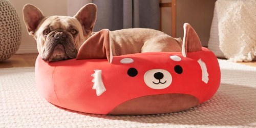 Squishmallows Large Pet Beds Only $26 Shipped (Regularly $60) – Lowest Price!