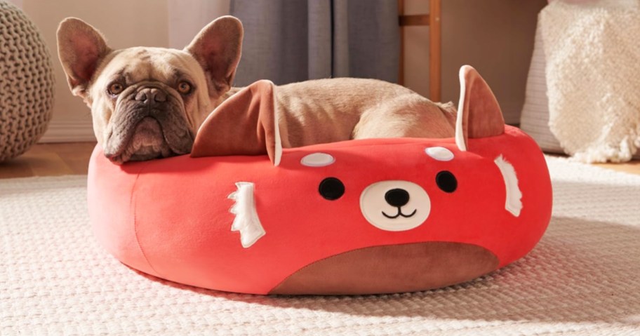 frenchie laying in red panda squishmallows pet bed