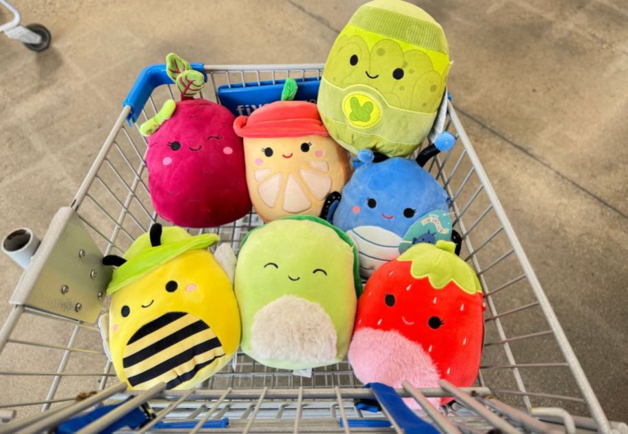 7 picnic squad squishmallows in a five below shopping cart