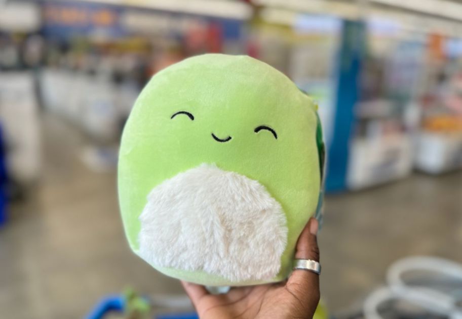 a womans hand displaying a picnic squad squishmallow