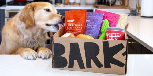 Super Chewer Box ONLY $19 Shipped (Includes 3 Toys & 2 Full-Size Treat Bags) – No Additional Box Purchase Needed!
