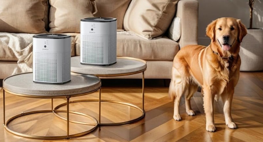 Two air purifiers displayed on top of living room accent tables with dog to the side of it