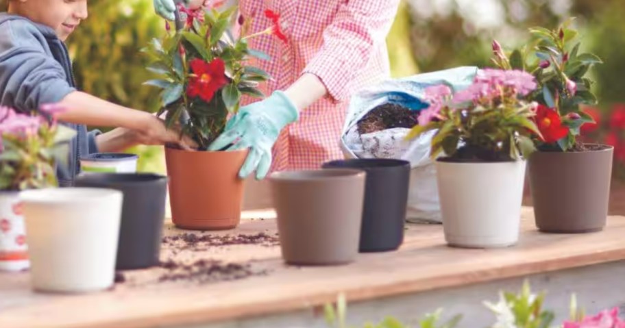 woman and little boy planting flowers in a variety of plastic flower pots in different colors