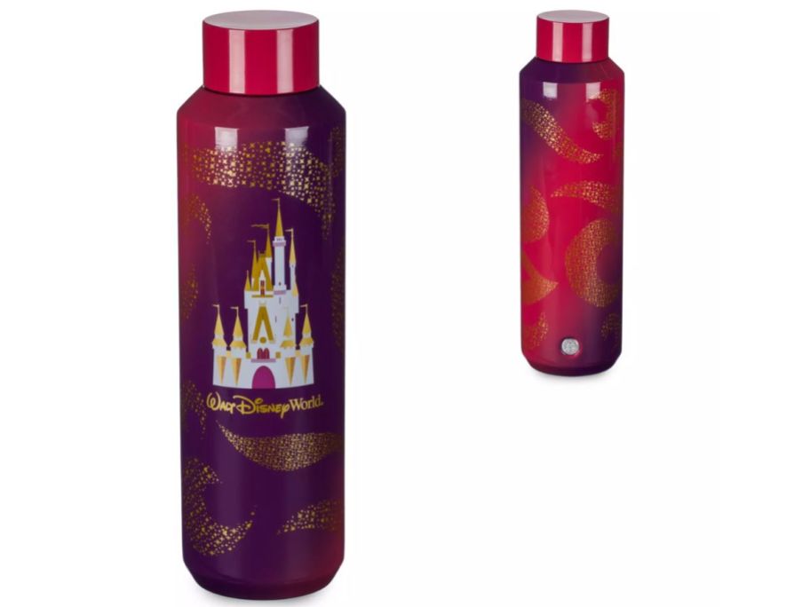 Walt Disney World Water Bottle