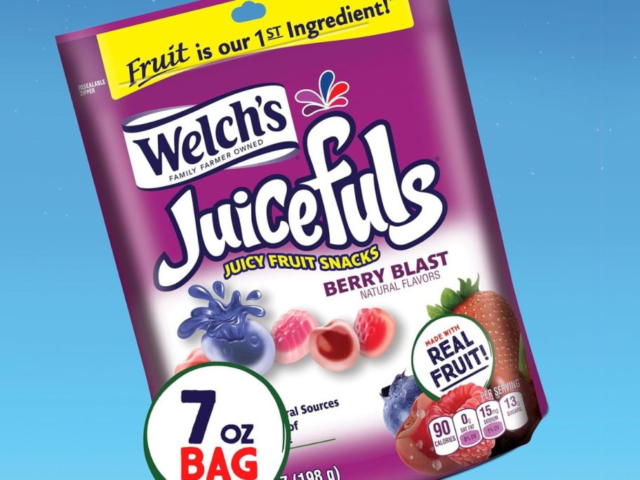 A 7oz Bag of Welch's Berry Blast Juicefuls