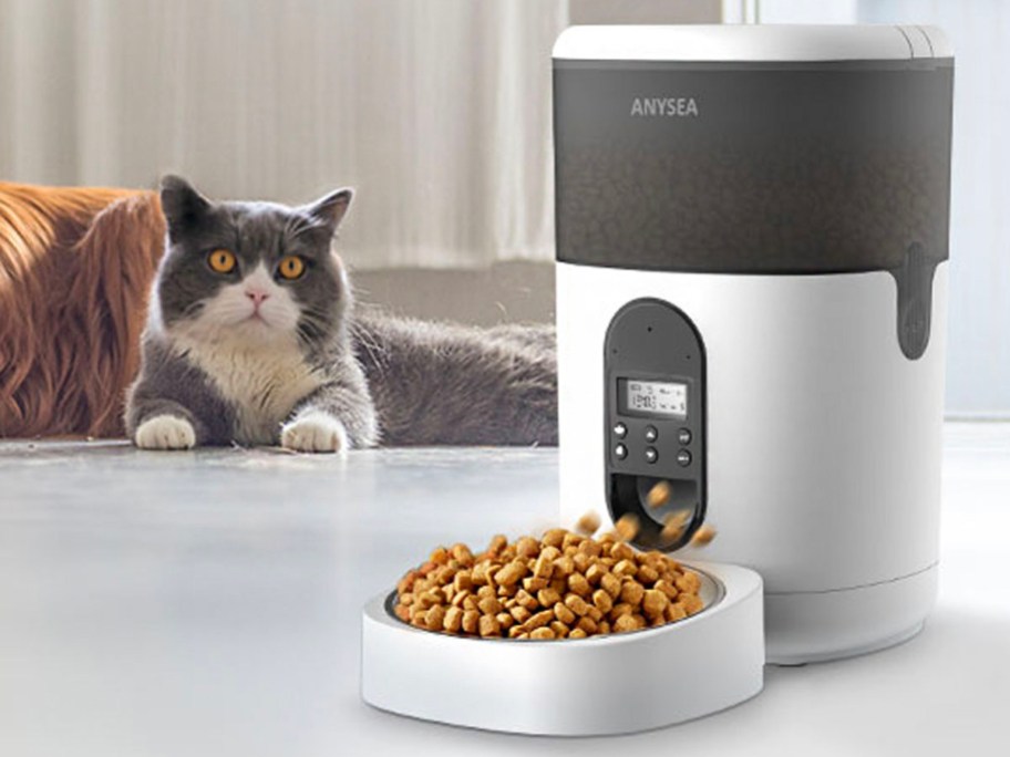 cat food dispenser with food inside and white and gray cat in the background