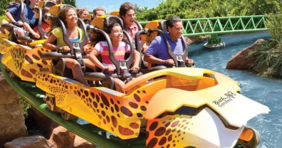 people on cheetah roller coasters 