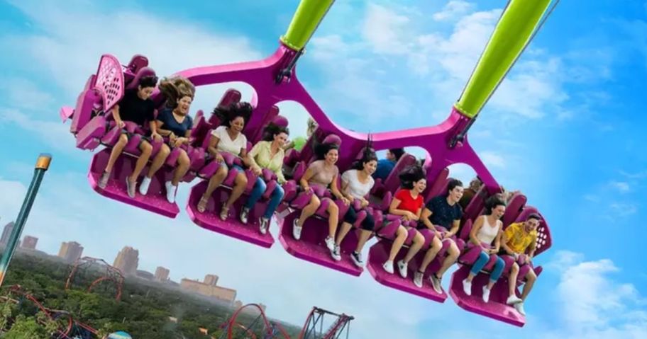 people on a purple and green ride up in the air at Busch Gardens Tampa