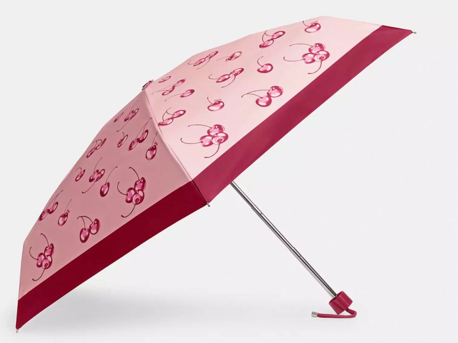 pink cherry coach umbrella stock image