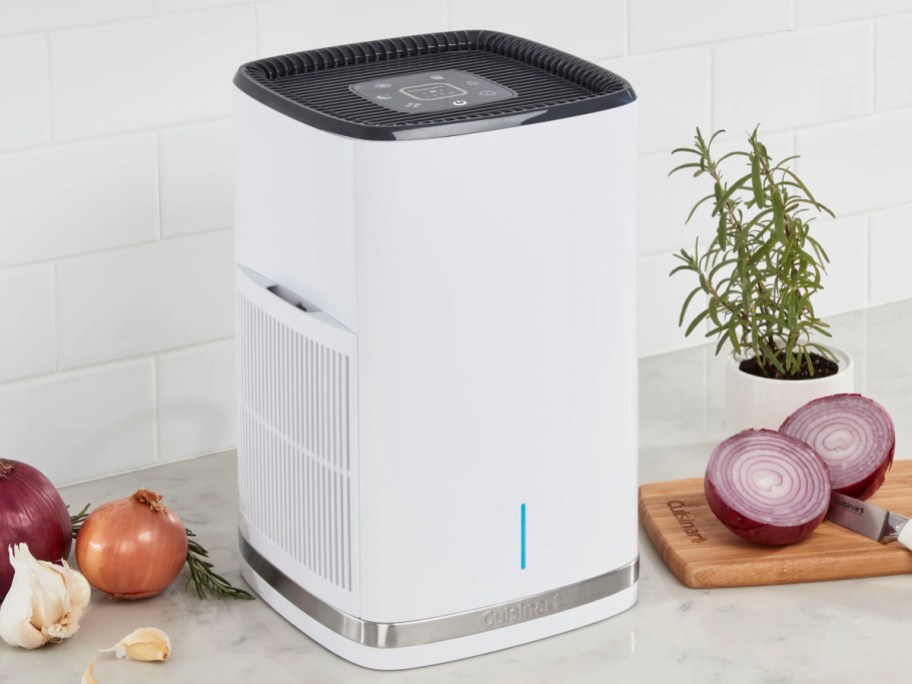white and gray cuisinart air purifier sitting on counttop with vegetables around it 