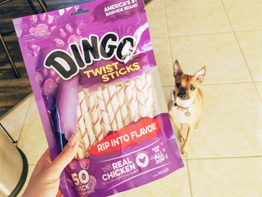 hand holding dingo dog treat bag with dog in background
