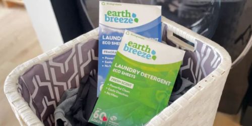 WOW! FREE Earth Breeze Laundry Sheets at Walmart After Online Rebate ($15 Value)