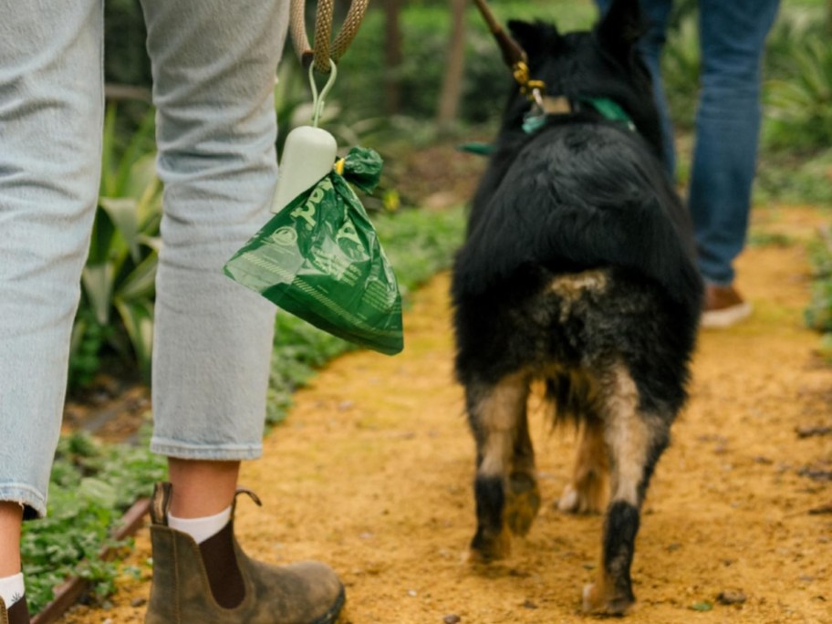 dog walking next to owner holding poop bag
