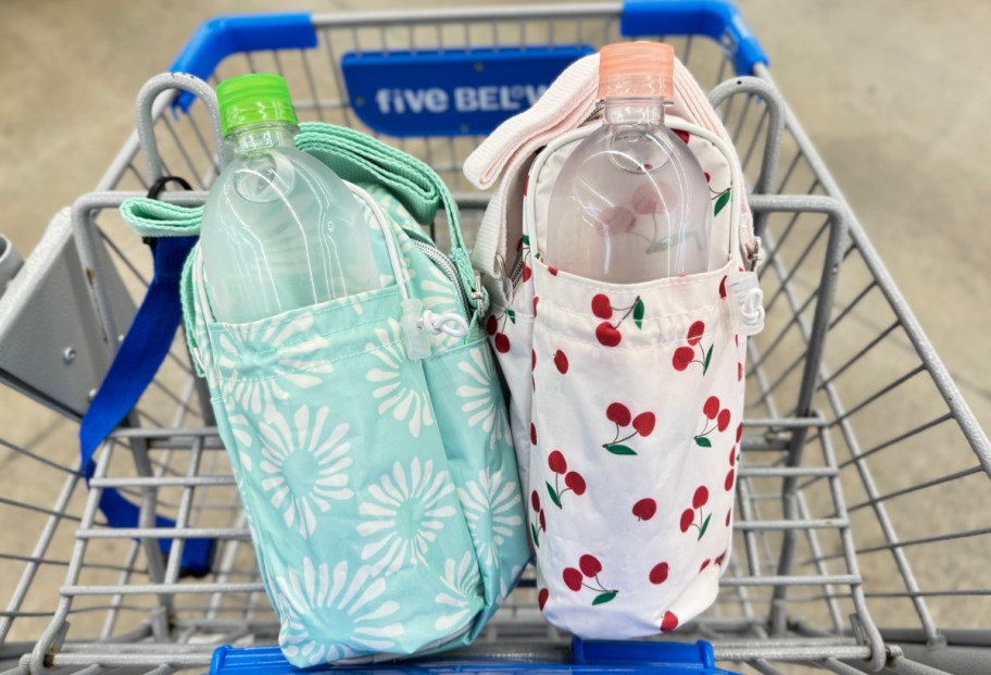 five below water bottle bags inside of shopping cart