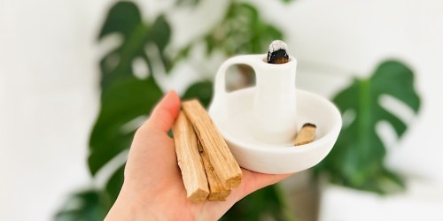 Ready to Ditch Chemical-Filled Home Fragrances? Try These 3 Non-Toxic Air Freshener & Perfume Products!