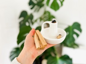 Safe & Non Toxic Air Freshener & Perfume Products | Hip2Save