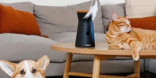 Furbo 360° Cat Camera & Treat Dispenser Only $79 Shipped for Amazon Prime Members