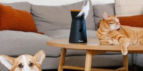 Furbo 360° Pet Cameras ONLY $69 Shipped for Amazon Prime Members (Dispenses Treats Too!)
