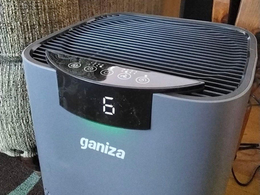 grey ganiza air purifier 