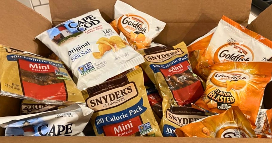 40-Count Premium Snack Variety Pack Just $16.64 Shipped on Amazon | Pretzels, Chips & Goldfish