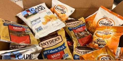 Premium Snack Variety Pack 40-Count Just $16.64 Shipped on Amazon | Pretzels, Chips & Goldfish