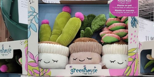 Greenhouse Plant Plushes 3-Pack Only $18.99 at Costco – No Green Thumb Required!