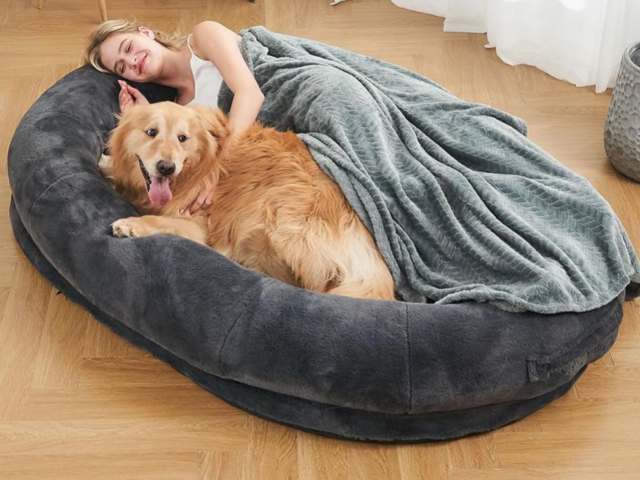 a woman and a golden in a gray human sized dog bed