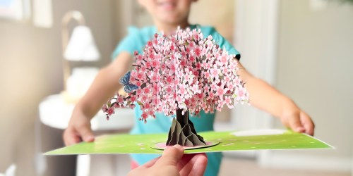 3D Pop-Up Greeting Cards from $11.89 on Amazon | Perfect for Mother’s Day!