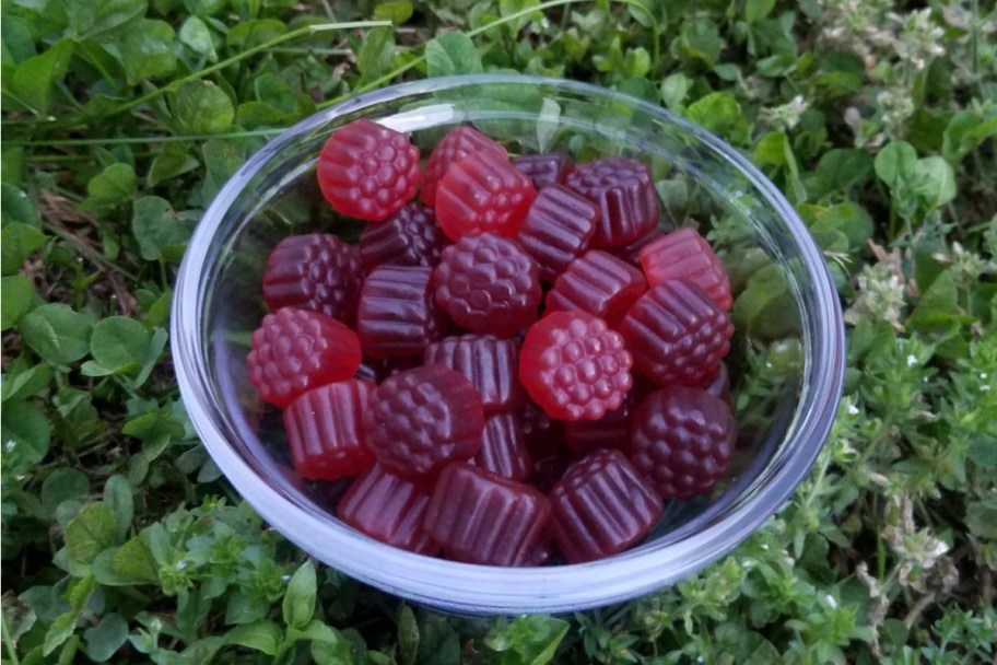 bowl of elderberry gummies outside on grass