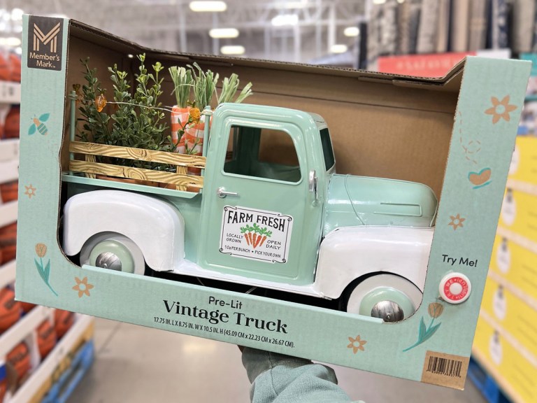 Sam's Club Pre-Lit Patriotic Vintage Truck Only $24.98 (Regularly $35 ...
