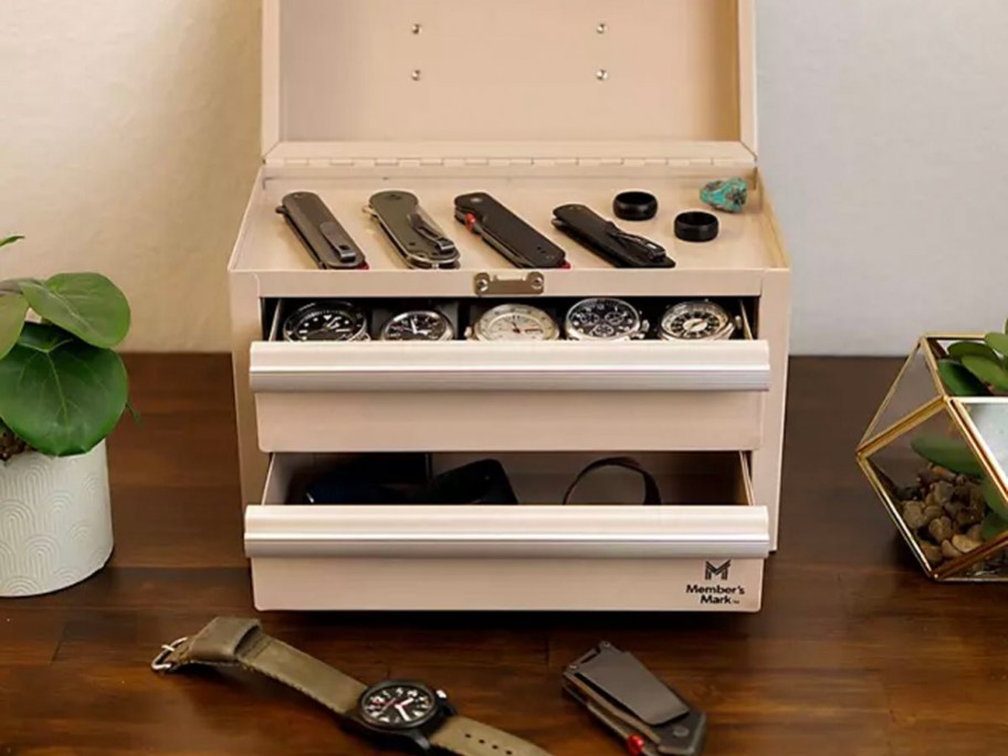 small beige toolbox full of watches, knives, and rings sitting on table with two small plants