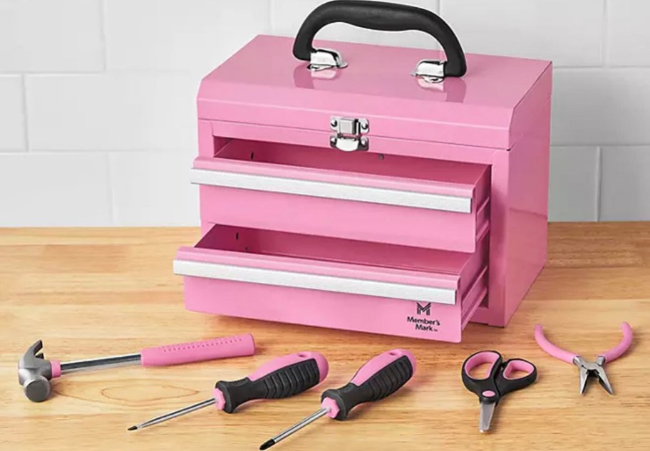pink members mark toolbox on table with 5 tools in front of it