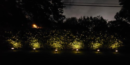 Smart Solar Lights 2-Pack Just $36.89 Shipped on Amazon (Reg. $80) | Controlled w/ an App