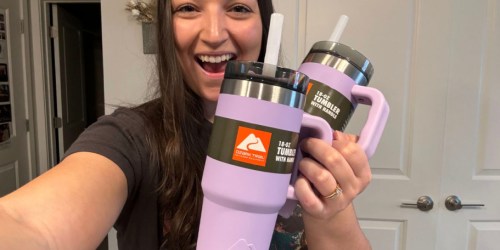 Ozark Trail 18oz Tumblers ONLY $9.98 (The BEST Stanley Alternative!)