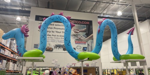 Giant Sea Serpent Sprinkler Just $49.99 + More Water Fun at Costco