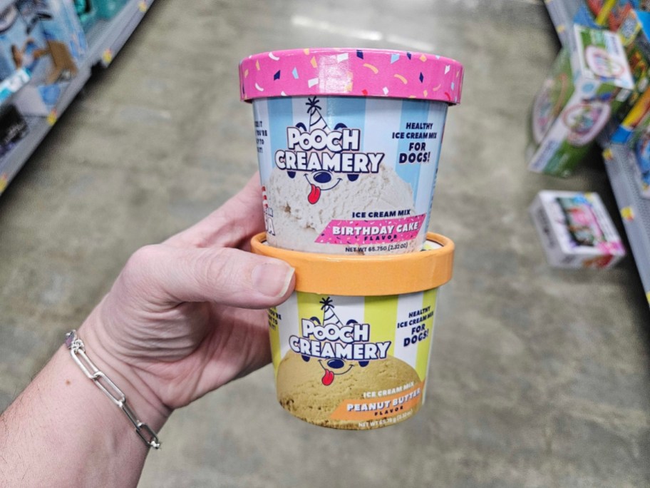 hand holding two containers of Pooch Creamery Dog Ice Cream
