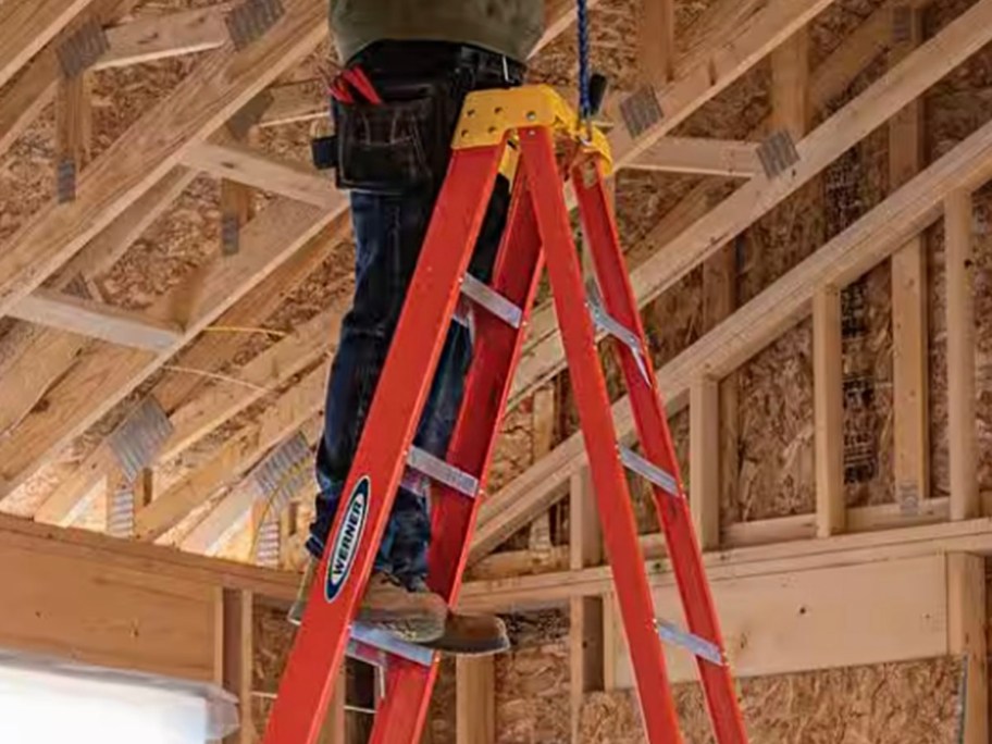 man standing on werner ladder