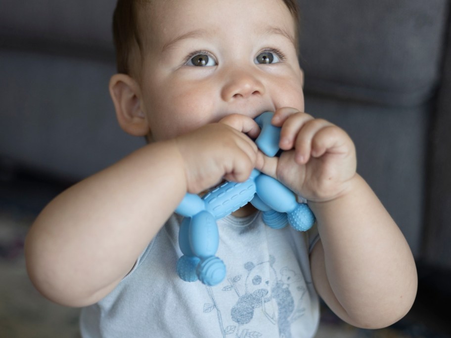 baby with a blue balloon dog shaped baby teether in his hands and mouth