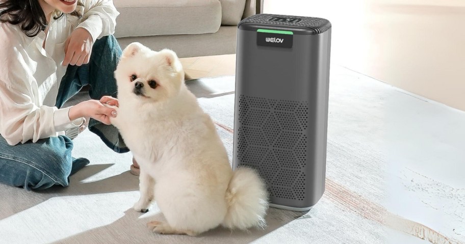 small white dog sitting in front of a grey air purifier, woman sitting next to the dog