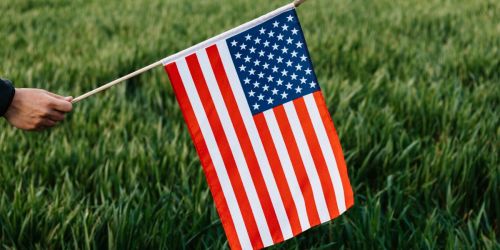Score a Free American Flag at Ace Hardware on May 25th – No Purchase Needed