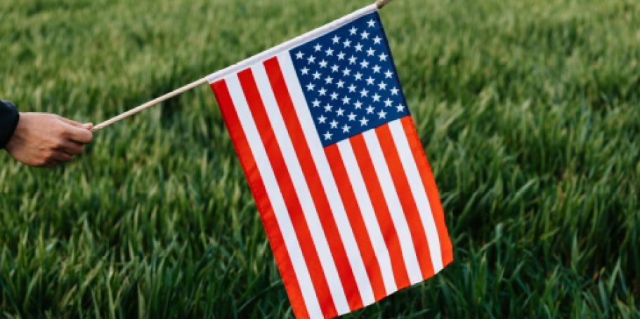 FREE American Flag at Ace Hardware on May 25th