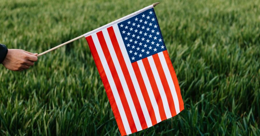 FREE American Flag at Ace Hardware on May 25th