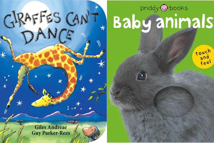 2 Baby Board Books