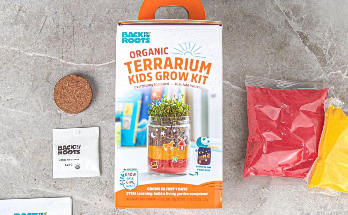 Kids Terrarium Grow Kit Only $5.45 on Amazon (Reg. $13) | Fun Summer Activity