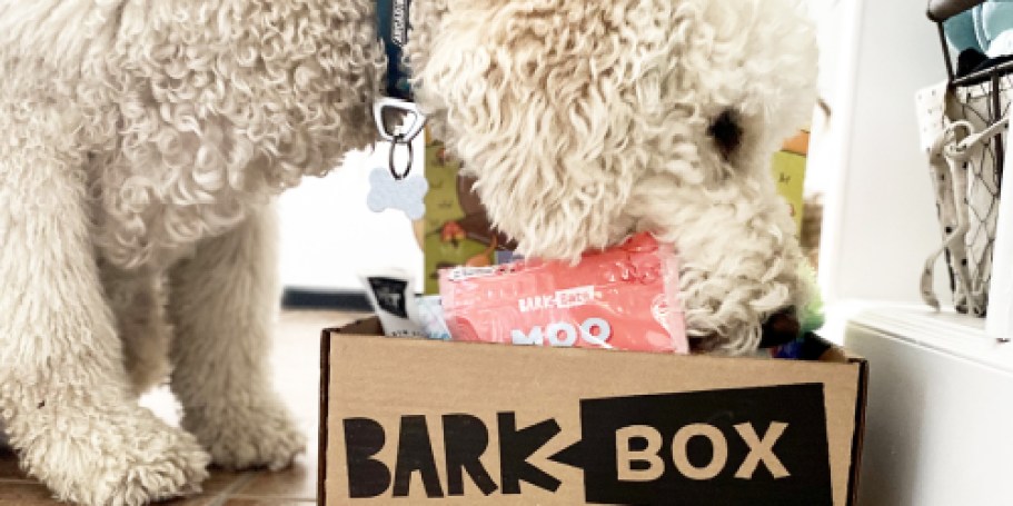 50% Off ANY BarkBox Including Single-Month Plan | Comes w/ 2 Toys & 2 Full-Size Bags of Treats