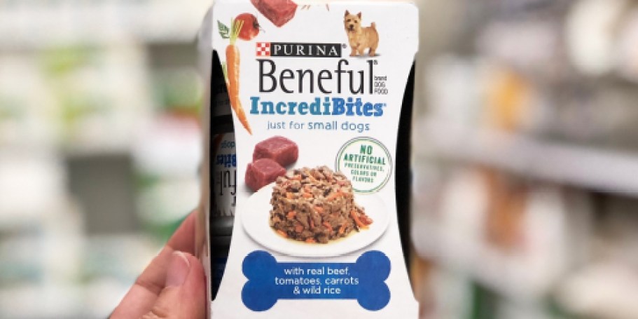Beneful Wet Dog Food 12-Pack Only $11.81 Shipped on Amazon