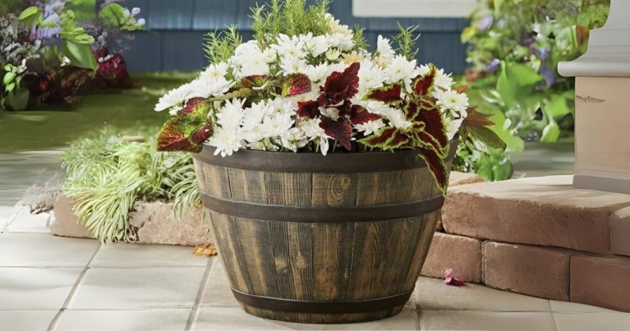 large whisky barrel planter with plants in it