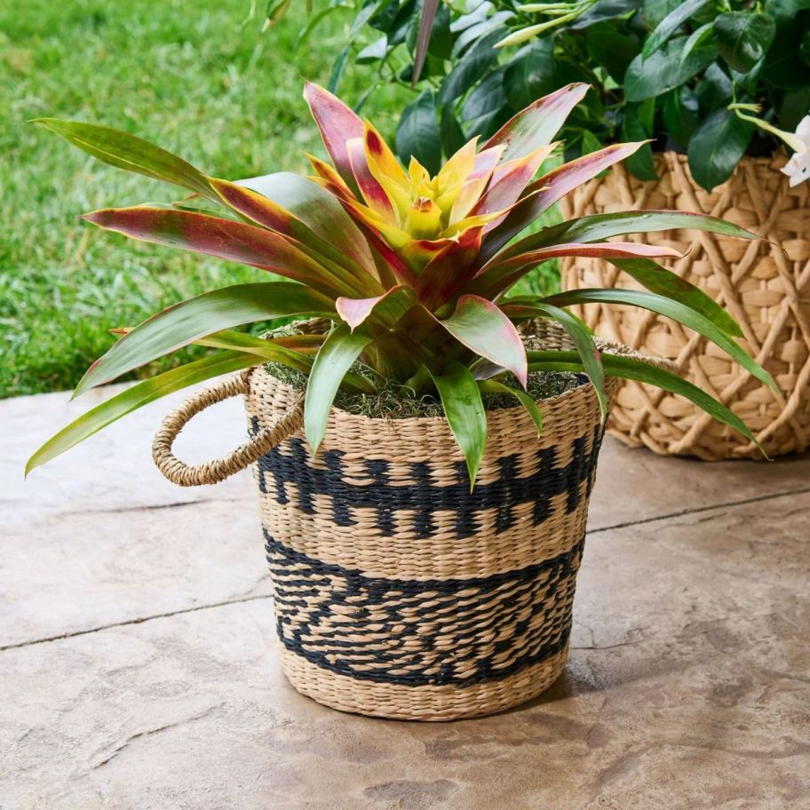 a round basket planter on a patio with a plant in it