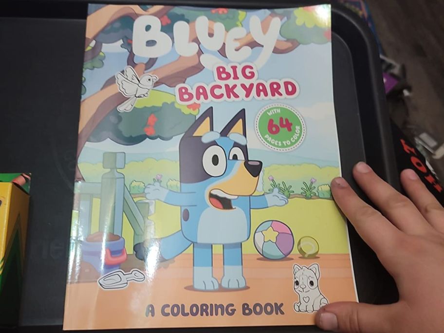 A Bluey Big Backyard Coloring book