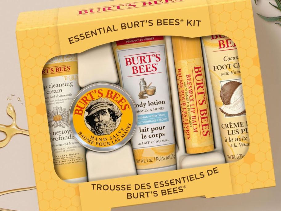 Burt's Bees Gifts Ideas Essentials Everyday Beauty Set